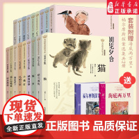 美冠纯美阅读书系 猫故乡朝花夕拾呼兰河传端午的鸭蛋 8-10-12周岁 文学名家经典小学生课外阅读书籍三四五六年级课外书