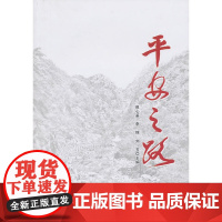 平安之路——山东省新泰市依托 平安协会 促进社会平安发展研究(L)