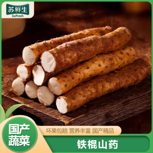 [苏鲜生]河北铁棍山药 5斤 单根50cm+ 当季新鲜蔬菜 口感软糯 营养丰富