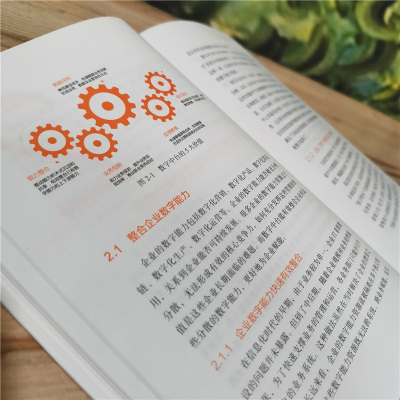 中台实践:数字化转型方法论与解决方案