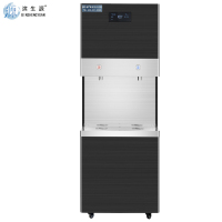 滨生源商用开水器五级过滤黑钛不锈钢材质BSY-30BK-RO(台)