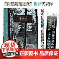 瓦尔登湖插图珍藏版 函套精装 自然随笔之父梭罗代表作 孙致礼译作 经典插图世界名著 外国文学散文书籍 后浪出版