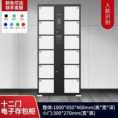 圣德列12门存包柜手机存放柜人脸识别SL-181 850*460*1800mm