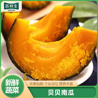 [苏鲜生]新鲜贝贝小南瓜 新鲜蔬菜 净重5斤 新鲜采摘 软糯香甜