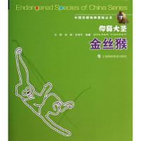 正版新书]仰鼻大圣:金丝猴刘哲9787542857682