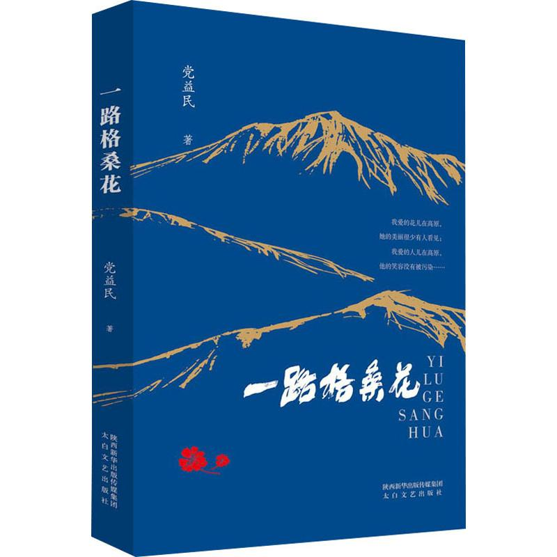 音像一路格桑花益民