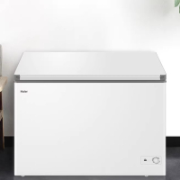 Haier/海尔 BC/BD-300GHPD 卧式冷柜