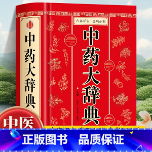 中药大辞典 [正版]中药大辞典 精装版全套 原版 中药学书籍词典 辞典中药书中药材中药字典中医药大词典药学医学工具书药膳