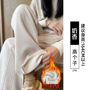 人字纹毛呢加绒裤子女新款秋冬季羊毛裤小个子直筒窄版阔腿裤_188