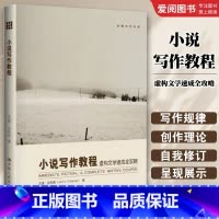 小说写作教程 虚构文学速成全攻略 [正版]小说写作教程 虚构文学速成全攻略 中国人民大学 创意写作书系 入门评论批评概论