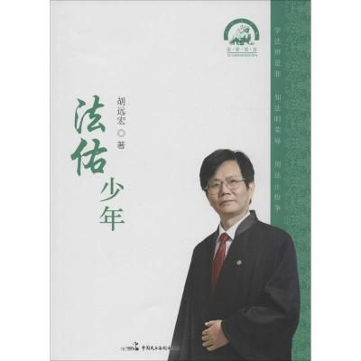 正版新书]法佑少年胡远宏9787516211625