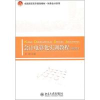 [N]会计电算化实训教程-9787301196618