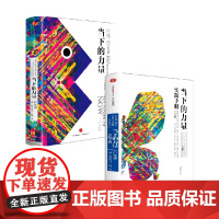 当下的力量 白金版 +当下的力量实践手册 白金版 埃克哈特·托利 著 经济