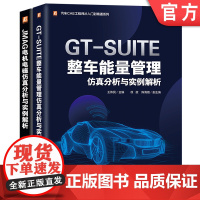 套装 汽车CAE工程师从入门到精通套装共2册 JMAG电机电磁仿真分析与实例解析 GT-SUITE整车能量管理仿真分析与