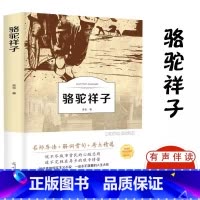 骆驼祥子 [正版]呼兰河传 萧红著 原著原版书籍五年级初中生青少年版四六年级中小学生必读呼兰河转完整版无删减经典书课