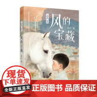 风的宝藏-“童年星”书系 荆凡著 8-14岁小学生 少年成长,风力发电,当代乡村