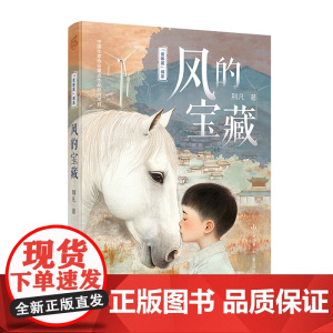 风的宝藏-“童年星”书系 荆凡著 8-14岁小学生 少年成长,风力发电,当代乡村