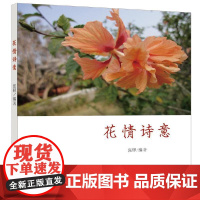 花情诗意