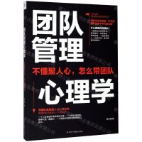 [N]团队管理心理学-9787515826301