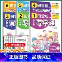 一年级上册 小学通用 [正版]2024新版 田雪松小学生写字课 小学一1二3三3四4五5六6年级上册下册语文人教版字词句