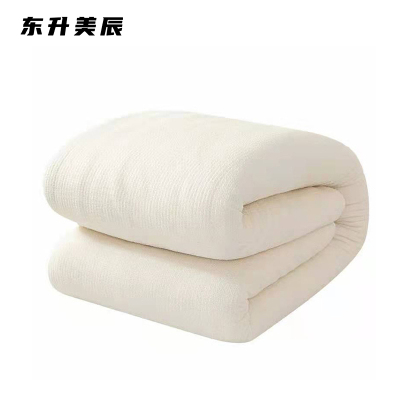 东升美辰 棉花被芯4斤150*200cm DS-RB021 个