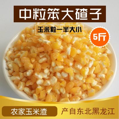 东北笨大碴子5斤粗细玉米面东北新粮纯玉米粉苞米面发糕窝窝头玉米面粉杂粮煎饼面