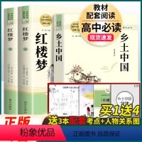 红楼梦+乡土中国[套装2本] .南方出版社 [正版]堂吉诃德 (西班牙)塞万提斯原著 名著阅读高中语文高一高二高三学生课