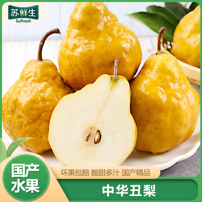 [苏鲜生]山东中华丑梨 泡沫箱 净重4.5斤 特大果 单果85-90mm 单果中华太婆梨莱阳现摘啤梨软梨子新鲜