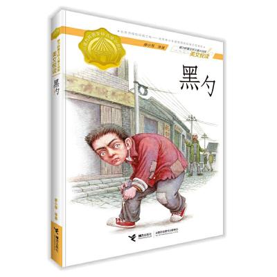 正版新书]黑勺(接力杯曹文轩儿童小说奖美文悦读) [7-14岁]冯桂