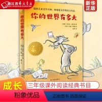 你的世界有多大 [正版]你的世界有多大 2022暑期3年级书目|百班千人 小学生三年级课外阅读经典书目儿童文学课外读物童