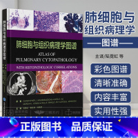 [正版]肺细胞与组织病理学图谱 陆霓虹 郭述良 杜映荣 脱落细胞细针穿刺抽吸技术细胞病理学临床重力学诊断肺部影像组织感