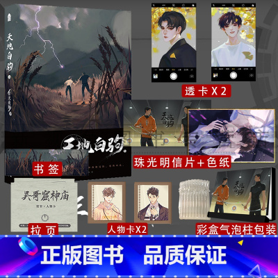 [正版]天地白驹 上 作者 非天夜翔 悬疑力作青春晋江文学城都市情感小说书籍 图灵密码同作者新视角图书