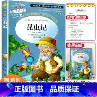 [正版]昆虫记法布尔原著小学生阅读课外书三四年级必读经典书目五六年级下册人教版山东美术出版社青少年版儿童故事书原著完整