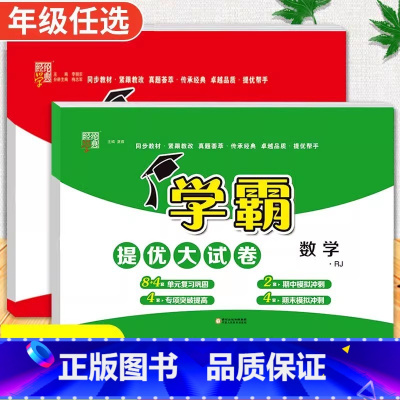 语文+数学[人教版] 四年级下 [正版]2024春季新版学霸提优大试卷一年级上册二年级三四五六下册试卷测试卷全套语文数学