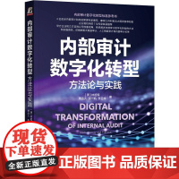 机工 内部审计数字化转型:方法论与实践 [澳]林祖辉 [中]萧达人 [中]张一帆 [中]李日辉