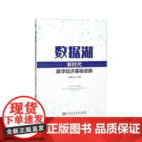 数据湖(新时代数字经济基础设施)