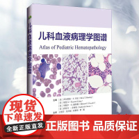 儿科血液病理学图谱 系统阐述了各类儿科血液病的病理特征等 王艳芬 吴泽霖 刘黎琼 曹娟 主译 辽宁科学技术出版社978