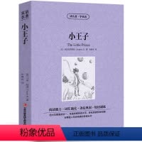 [中英互译]小王子 [正版]巴黎圣母院中英文双语书籍名著读物英汉对照小说全套阅读 巴黎圣母院原著 读名著学英语 高初中生