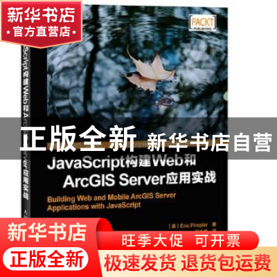正版 JavaScript构建Web和ArcGIS Server应用实战 [美]Eric Pimpl