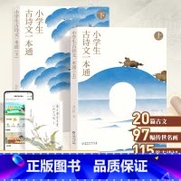 小学生古诗文一本通(上下册) [正版]中学生古诗文一本通上下册全套 初中古诗词和文言文全解一本通中学生语文古诗文完全解读