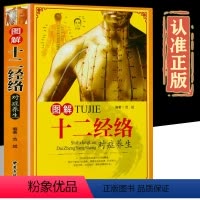[正版]图解十二经络对症养生精装全彩图解人体全身12经络穴位传统疗法养生大全书籍新手学中医经脉入门零基础理论知识