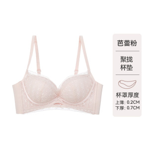 品牌同款夏季薄款蕾丝内衣女性感纯欲风小胸聚拢透气收副乳文胸罩