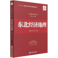音像东北经济地理/中国经济地理丛书金凤君,张平宇