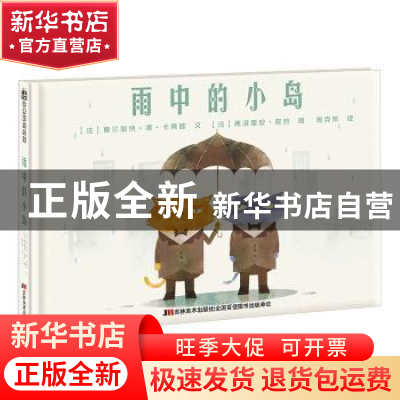 正版 雨中的小岛 (法)莫尔加纳·德·卡蒂耶文 吉林美术出版社 9787