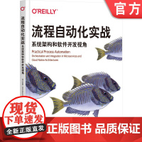 正版 流程自动化实战 系统架构和软件开发视角 贝恩德 吕克尔 微服务 云原生 开发者工具箱 工作流引擎 核心组件 自