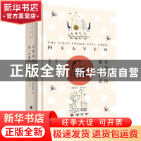 正版 天堂来的第一个电话 米奇·阿尔博姆(Mitch Albom)著 上海译