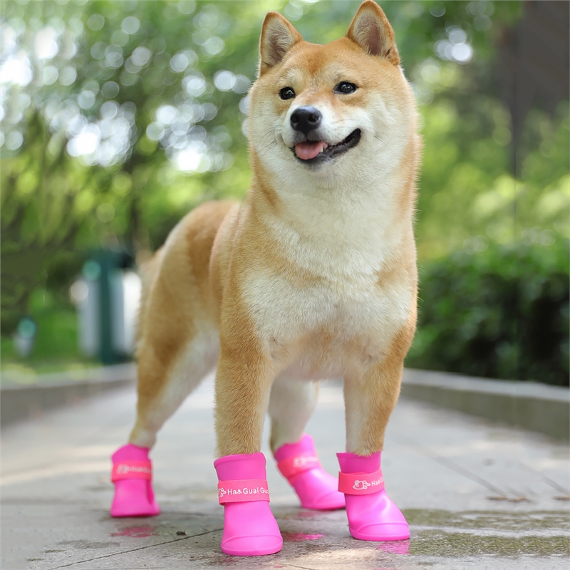 泰迪狗鞋子米妮狗狗雨鞋小狗宠物鞋遛狗鞋脚套博美比熊