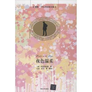 正版新书]夜色温柔-插图.中文导读英文版菲茨杰拉德978730232169