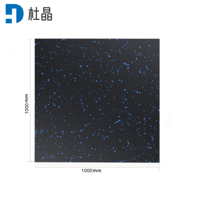 杜晶健身房橡胶地垫防滑减震隔音防砸缓冲地板健身板材100x100x2.5CM DJ-DD264