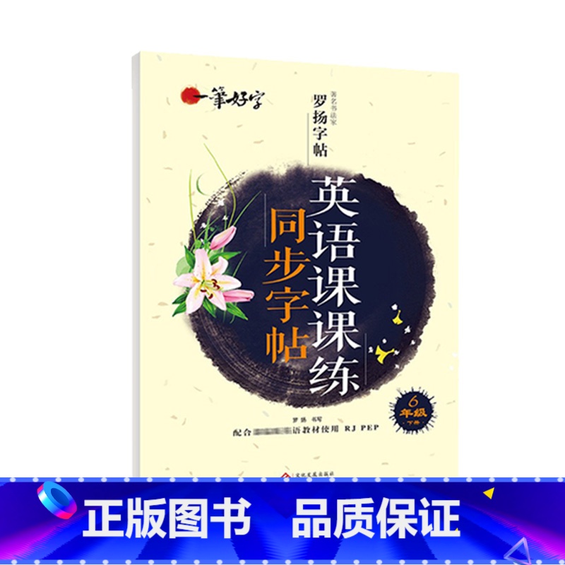 英语课课练同步字帖 6年级下册 [正版]罗扬字帖课堂笔记天天练练字帖人教版同步字帖一课一练硬笔钢笔临摹一二三四五六七八